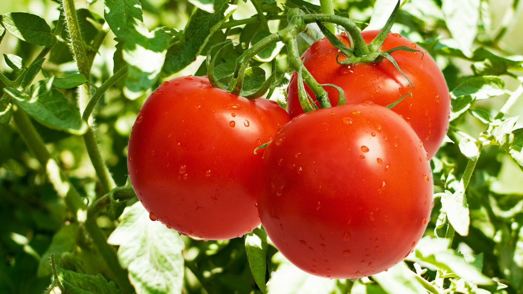 Tomato Thokku - 250g